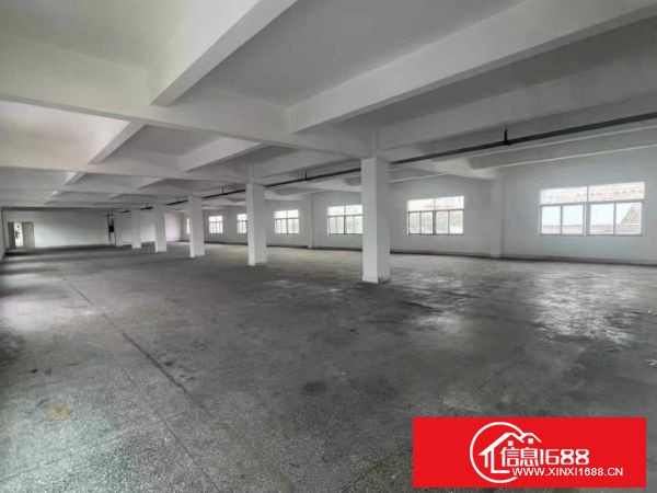 东莞大朗新出独院厂房三层3900平方，可分租