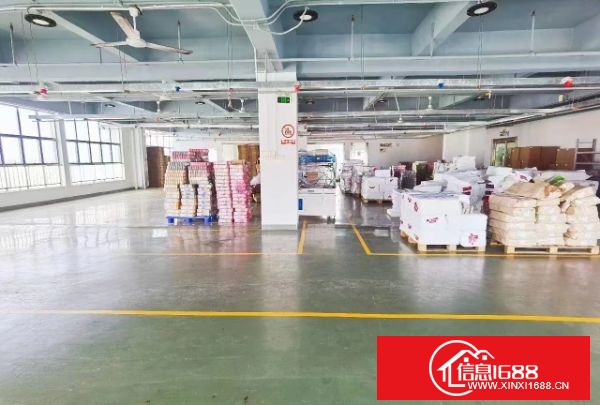 公明马田街道新出独院厂房三层4500平方带精装修