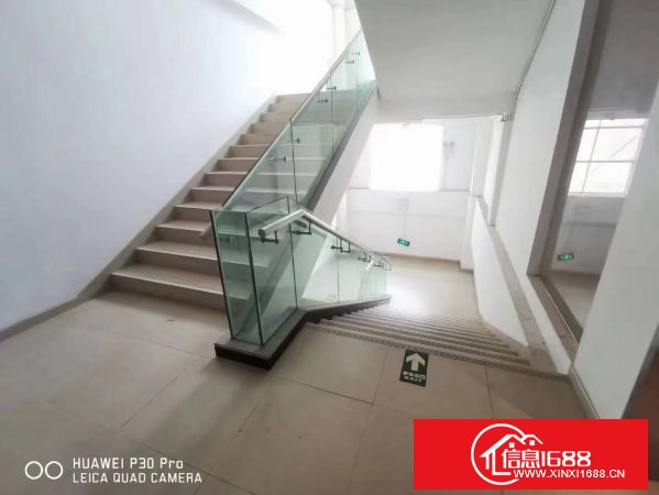 观澜松元厦中心村新出独院厂房四层7000平方，可以分租