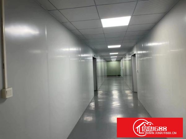 东莞长安宵边靠近深圳新出楼上600平方带装修