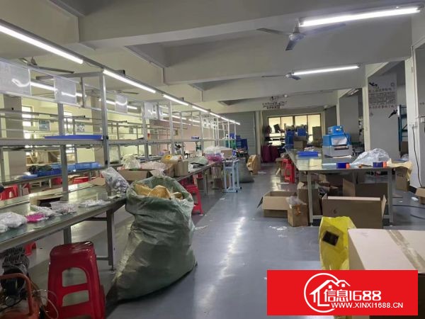 东莞长安宵边靠近深圳新出楼上600平方带装修