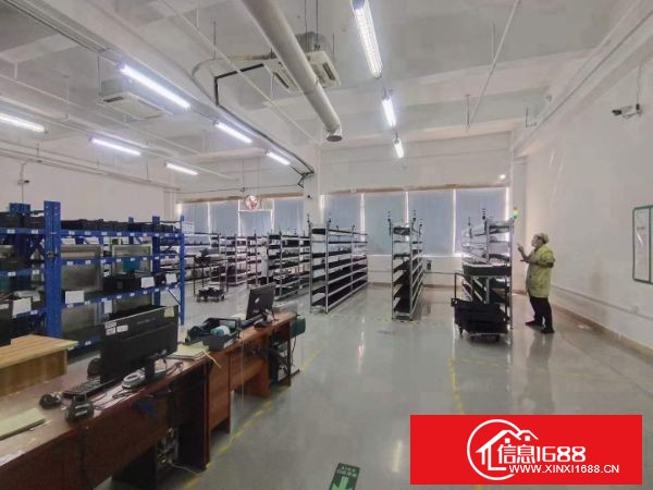 龙岗宝龙高新产业园新出楼上整层6500平方带精装修