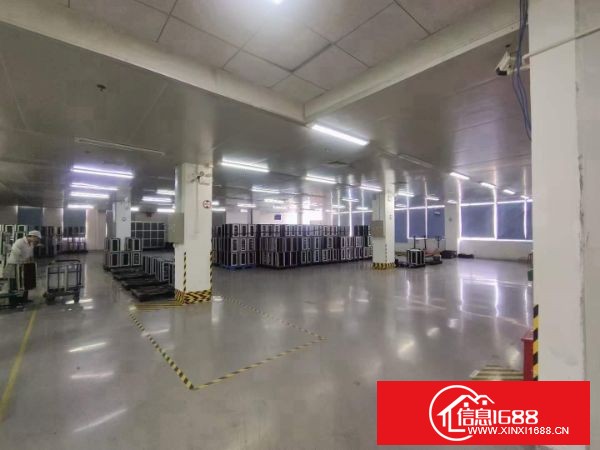 龙岗宝龙高新产业园新出楼上整层6500平方带精装修
