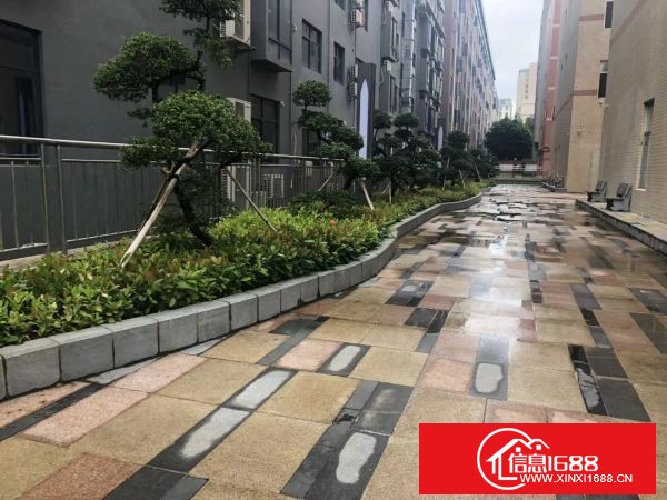 龙华大浪原业主厂房5层5500平方出租可分层出租