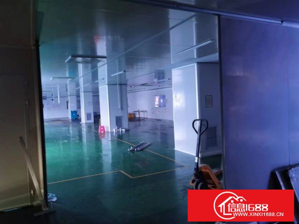 龙华大浪原业主厂房5层5500平方出租可分层出租