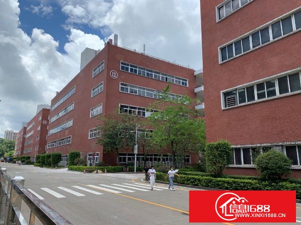 龙华大浪原业主大型园区分租一楼1300平方