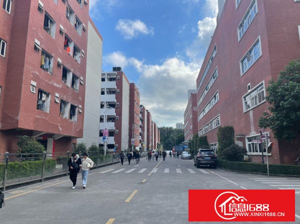 龙华大浪原业主大型园区分租一楼1300平方