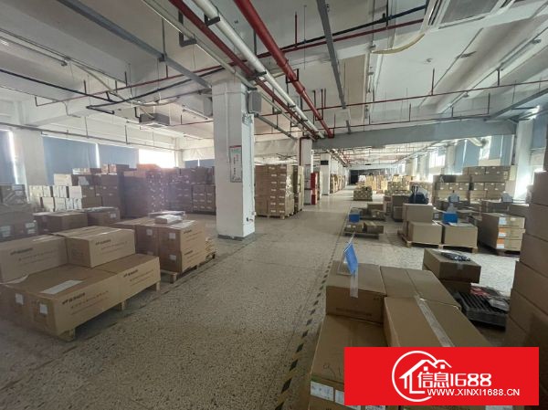 龙华大浪原业主大型园区分租一楼1300平方