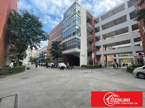 龙华大浪原业主大型园区分租一楼1300平方