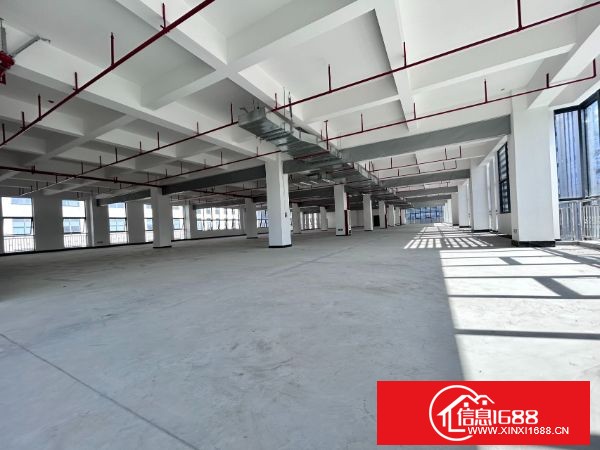 龙华大浪高新园区分租一楼2600平方高7米