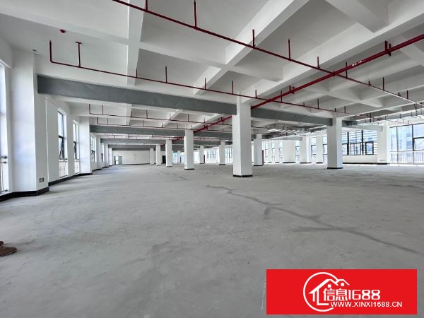 龙华大浪高新园区分租一楼2600平方高7米