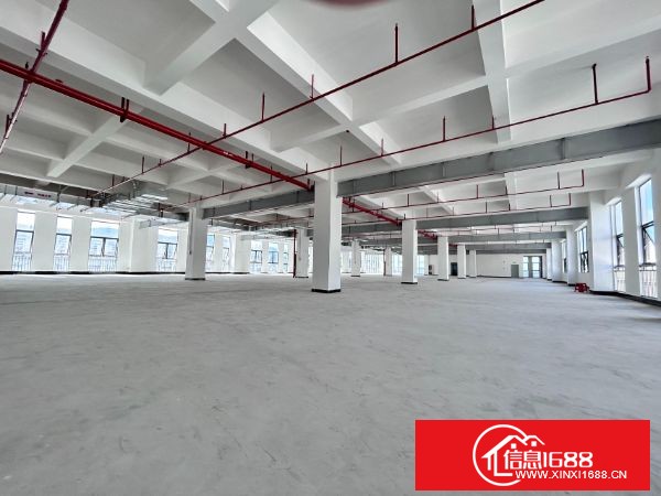 龙华大浪高新园区分租一楼2600平方高7米