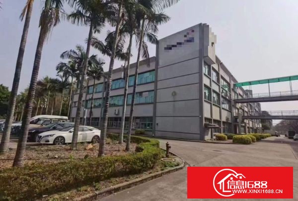 龙岗新生社区原业主厂房出租楼上整层2500平方带无尘车间装修