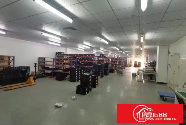 龙岗新生社区原业主厂房出租楼上整层2500平方带无尘车间装修