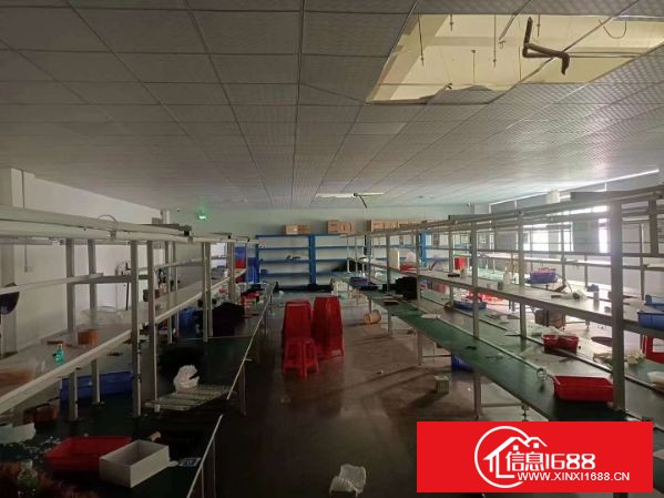 坪山新区新出业主独栋厂房9100平方出租，可分层出租