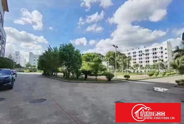 坪山新区新出业主独栋厂房9100平方出租，可分层出租