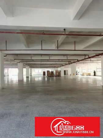 坂田五和地铁站附近新出原业主厂房整层1750平方