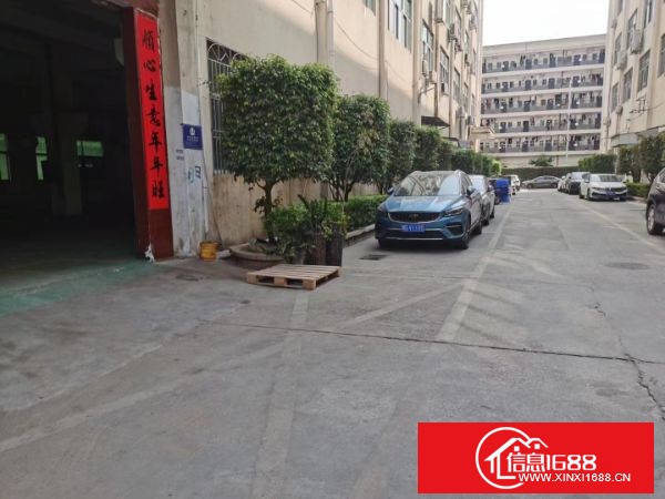 坂田上雪科技园新出原业主厂房一楼面积620平方和460平方已经隔好