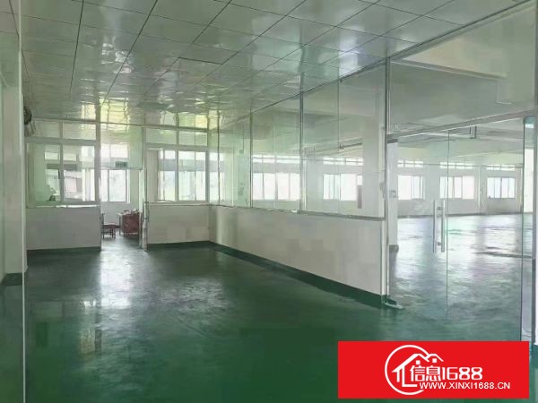 东莞长安上沙新空出楼上1800平方业主特价处理