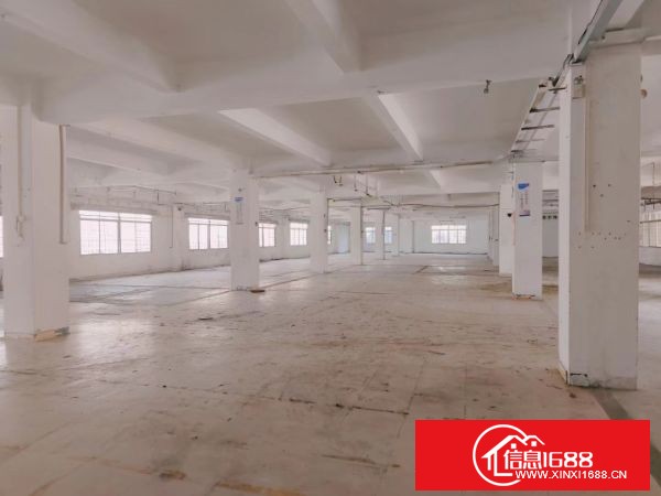 东莞大岭山杨屋107国道新出独院厂房4000平方