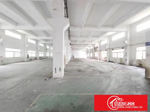 松岗沙浦洋涌工业区  107国道边 1-2层4600平，每层2300平米带装修