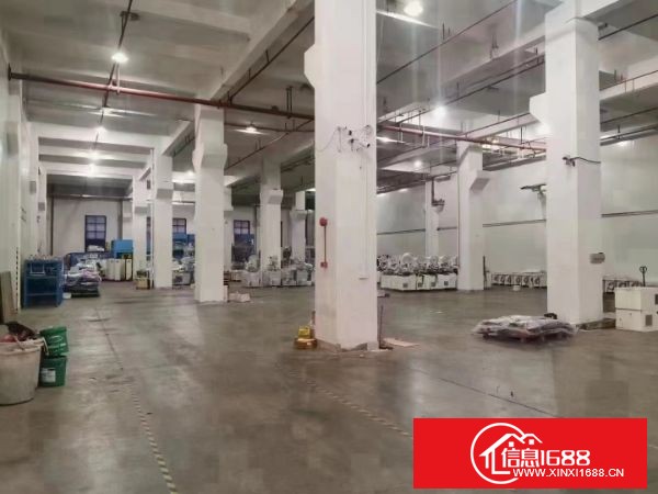 东莞长安镇沙头重工业厂房一楼2000平方出租，可分租