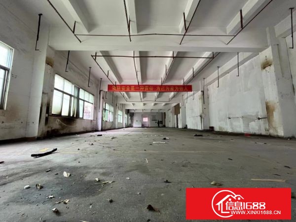 龙岗16号地铁线附近新出独院厂房5600平方合同5年可分租