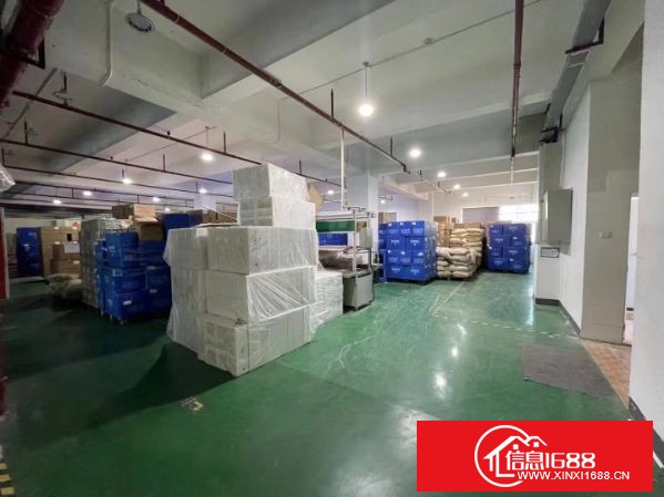 龙岗宝龙原业主红本厂房3800平方带装修出租