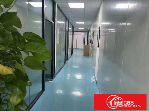 东莞凤岗官井头紧邻深圳大型园区分租一楼1200平方