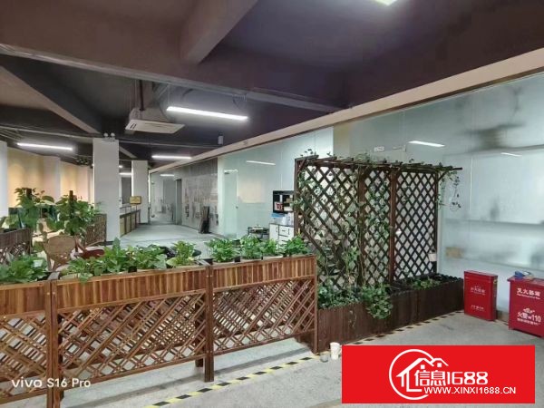 横岗安良工业园分租楼上整层1350平方带精装修