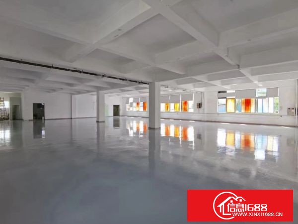 东莞长安上沙原业主独院厂房分租二楼整层1600平方带装修