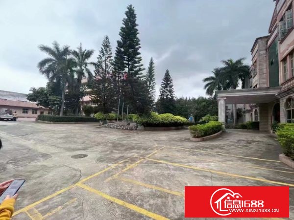 东莞大岭山单一层花园式钢结构厂房28000平方，可以分租