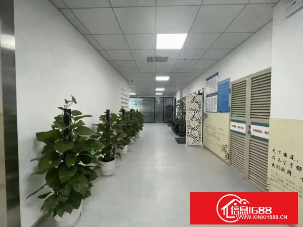 龙华大浪精装厂房1640平方，精装修，带无尘车间（百万级）