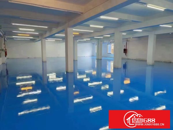 东莞长安乌沙厂房一楼实际600平方出租