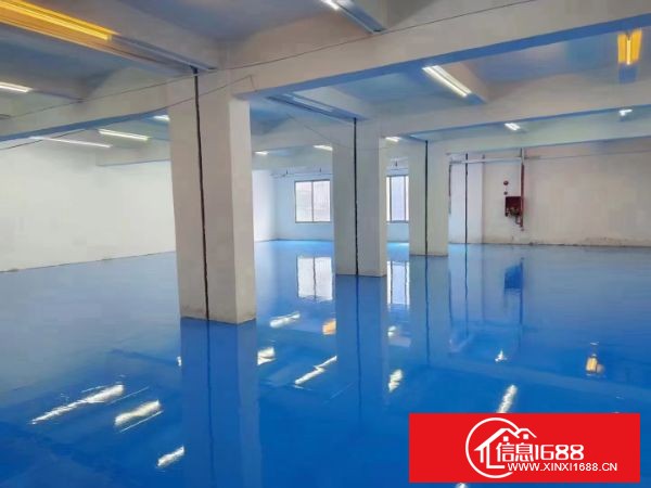 东莞长安乌沙厂房一楼实际600平方出租