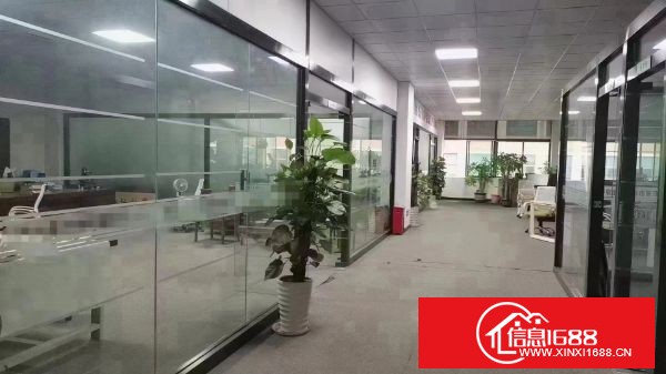 东莞塘厦凤凰岗新出楼上2000平方， 豪华装修办公室