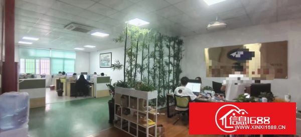 东莞塘厦田心独栋总面积5600平方带装修，可分租