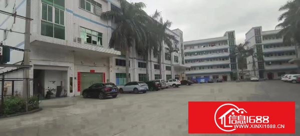 东莞塘厦田心独栋总面积5600平方带装修，可分租