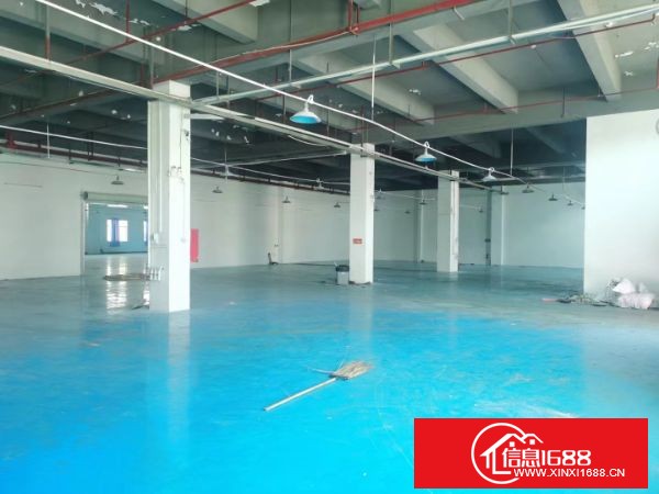 松岗汽车站附近一楼2400平米高度6米，有独立的办公楼，内部豪华装修