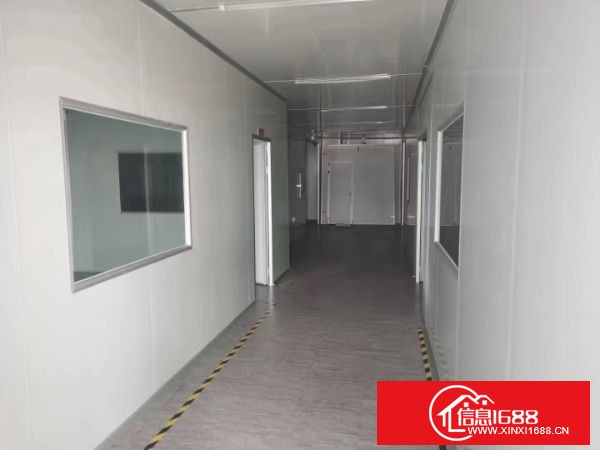 龙岗坪地盐龙大道附近新出独院厂房三层4200平方带装修