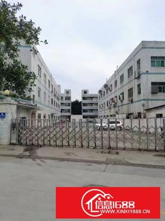 龙岗坪地盐龙大道附近新出独院厂房三层4200平方带装修