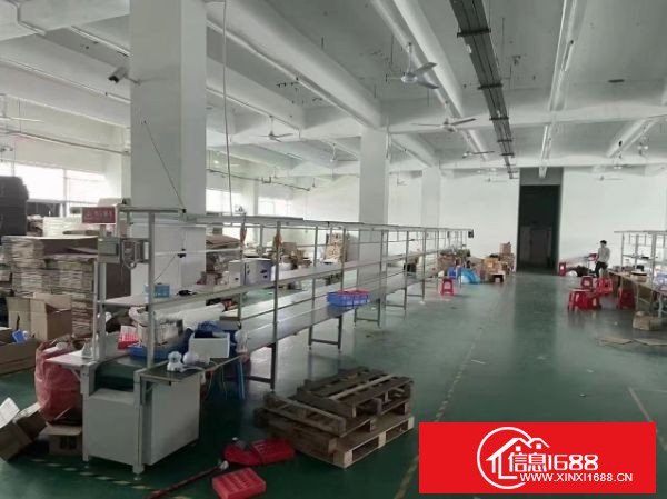 龙华大浪石凹新出4楼整层1980平米，现成精装修 格局好用