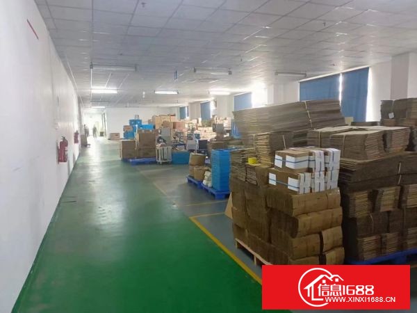 松岗大田洋楼上新出实际面积整层1300平，精装修办公室