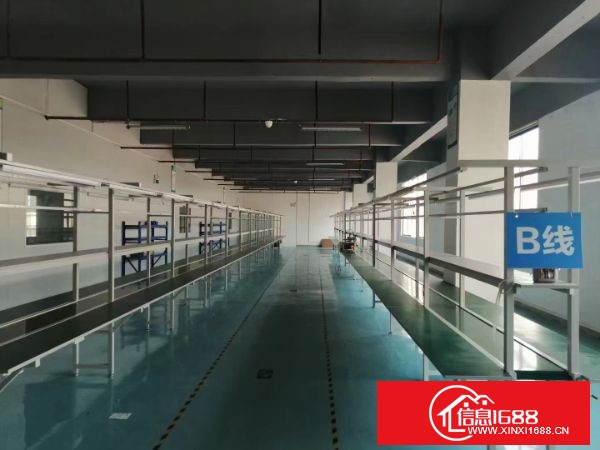 东莞长安街口广深高速出口工业园分租楼上整层1500平方带装修