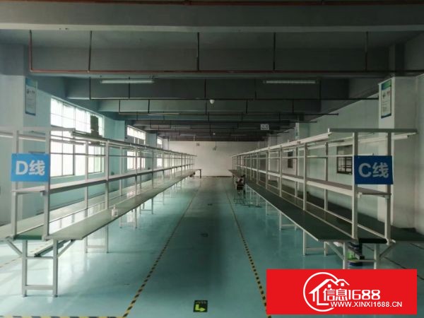 东莞长安街口广深高速出口工业园分租楼上整层1500平方带装修