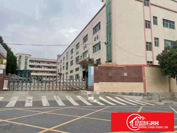 观澜桂花新出独门独院厂房出租，厂房面积9000平米，带装修