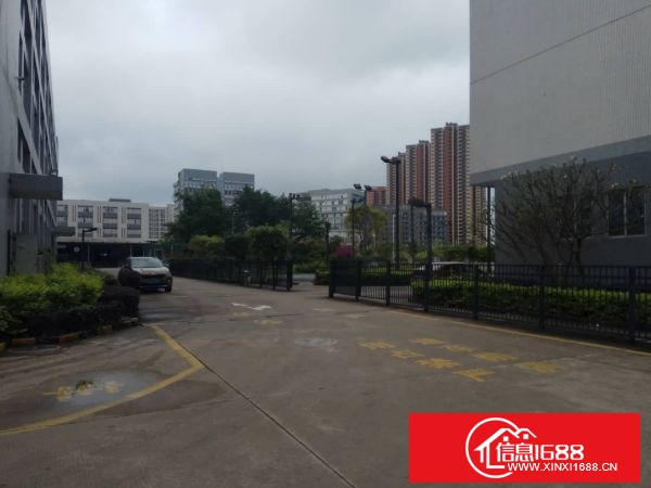 坪山坑梓证件齐全独门独院厂房 3栋约36000平方 钢构11高约3500平方