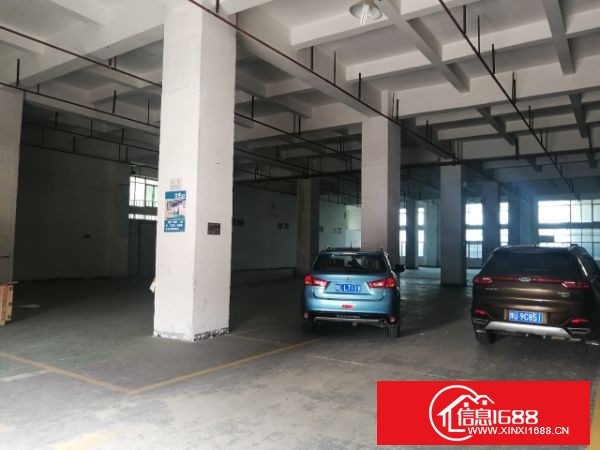 坪山坑梓证件齐全独门独院厂房 3栋约36000平方 钢构11高约3500平方