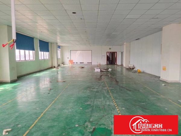 东莞长安镇沙头原房东楼上一整层1600平米，现成前台，豪华办公室装修