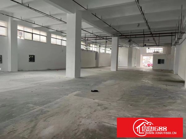 大岭山杨屋村龙大高速附近工业园新出 标准红本厂房一楼1000平方，层高6米